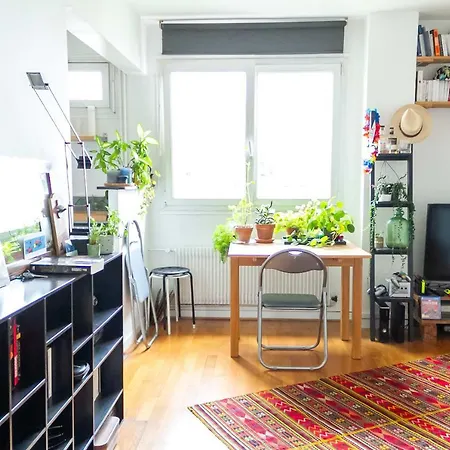 Superb Charming And Bright Apt Buttes Chaumont Appartamento *